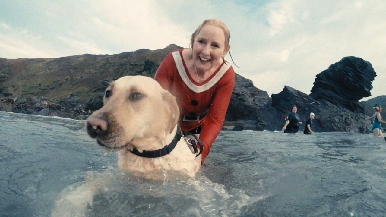 Подари щенка слепому (ВИДЕО)