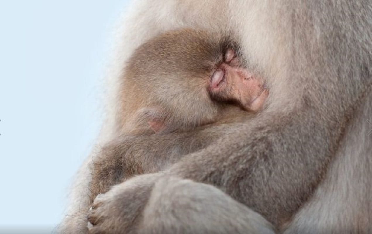 Когда бывший клерк нашёл себя. Часть 2.