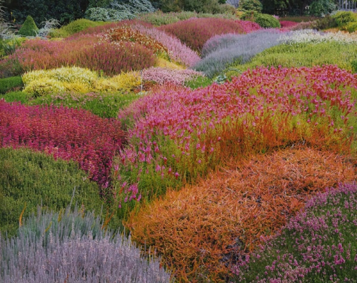 Почему фото на плёнку лучше, чем цифровое: мнение всемирно известного фотографа. Часть 3.