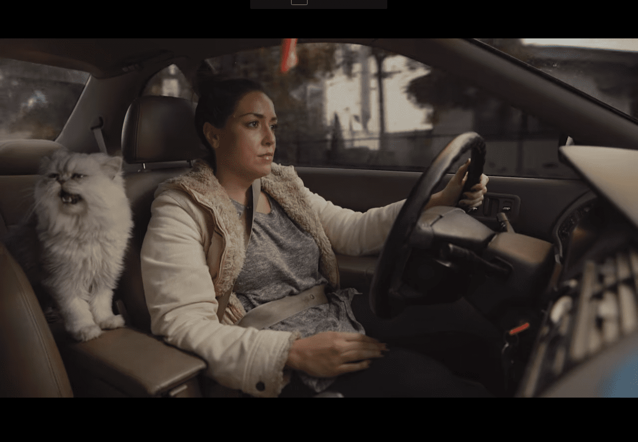 Как сделать из подержанного автомобиля товар года(ВИДЕО)