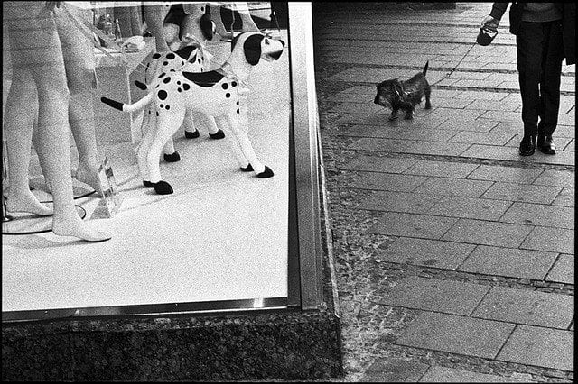 Остановись, мгновенье: фотографии, которые поймали момент. Часть 2.