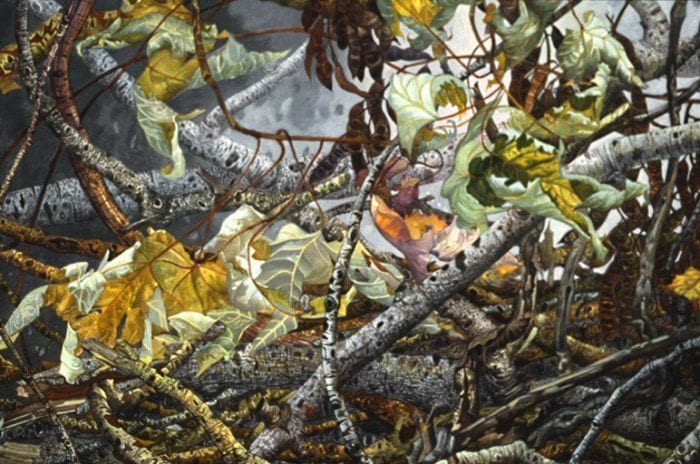 Супер детализированные красочные картины. Часть 2.