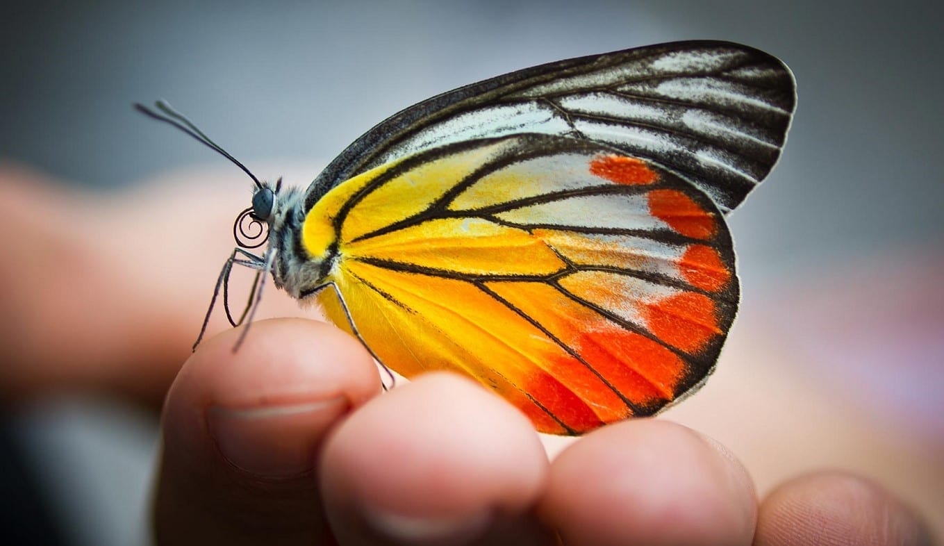 Заметки о корпоративном. Творчество и интуиция