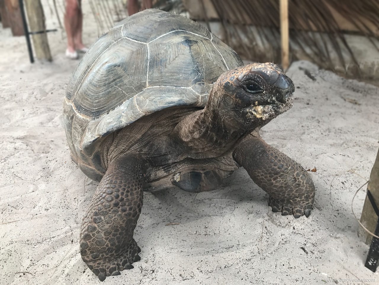 Заметки о корпоративном. Бойцы невидимого фронта