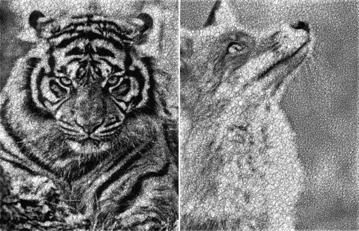 Портрет одной линией. Часть 2.