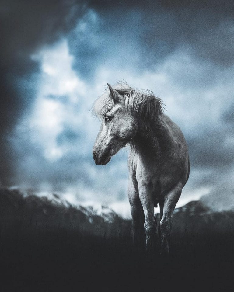 Нереальные фото дикой природы. Часть 7.