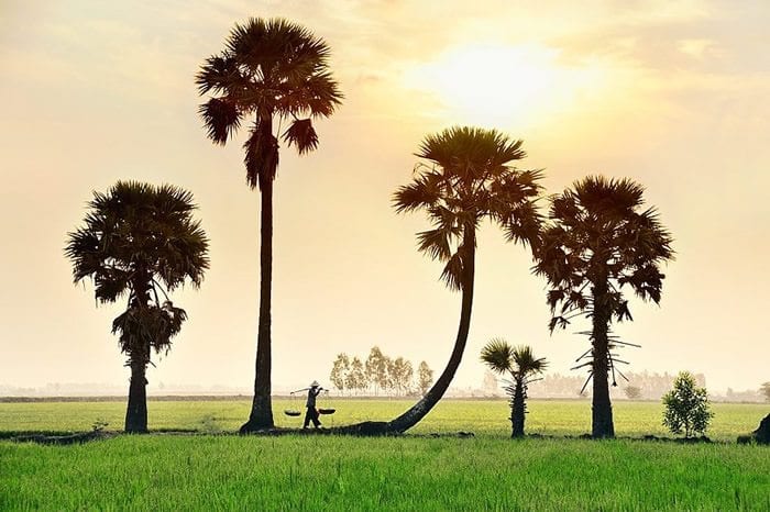 Колорит жизни от Ли Хоанг Лонга. Часть 1.