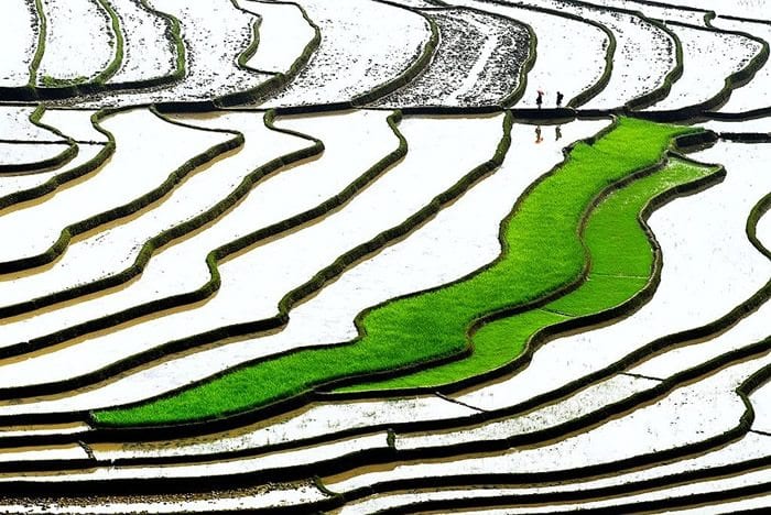 Колорит жизни от Ли Хоанг Лонга. Часть 2.