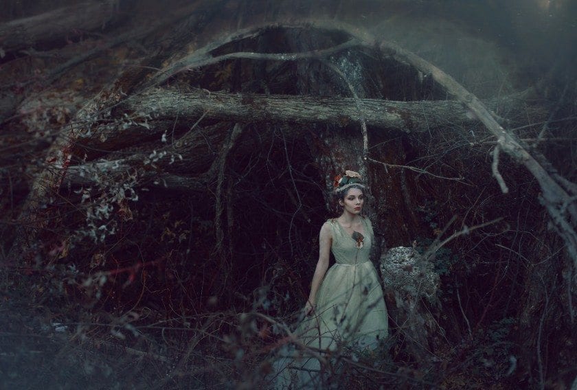 Лесные фантазии в чарующих фото. Часть 2.