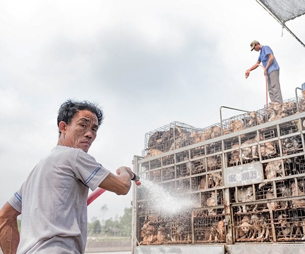 Победители конкурса Pink Lady Food Photographer of the Year 2018. Часть 4.