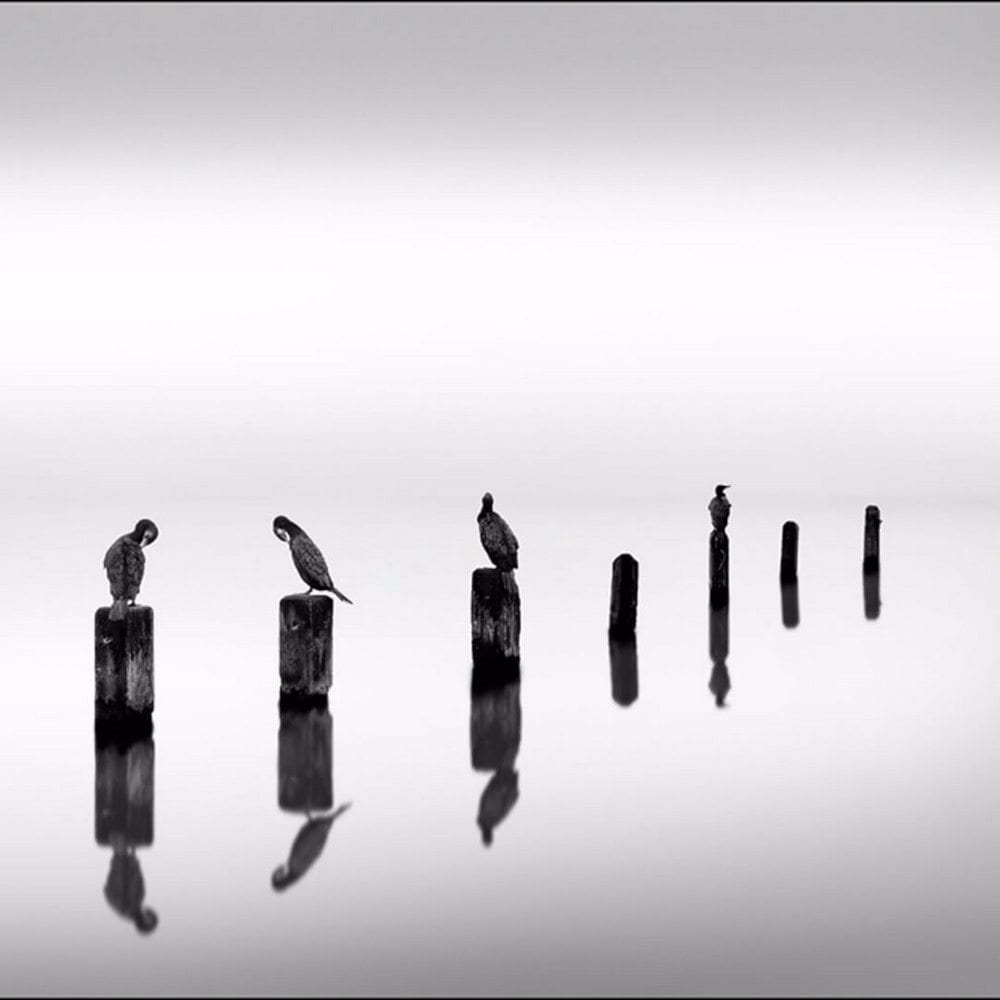 Сюрреальный минимализм Джорджа Дигалакиса. Часть 1.