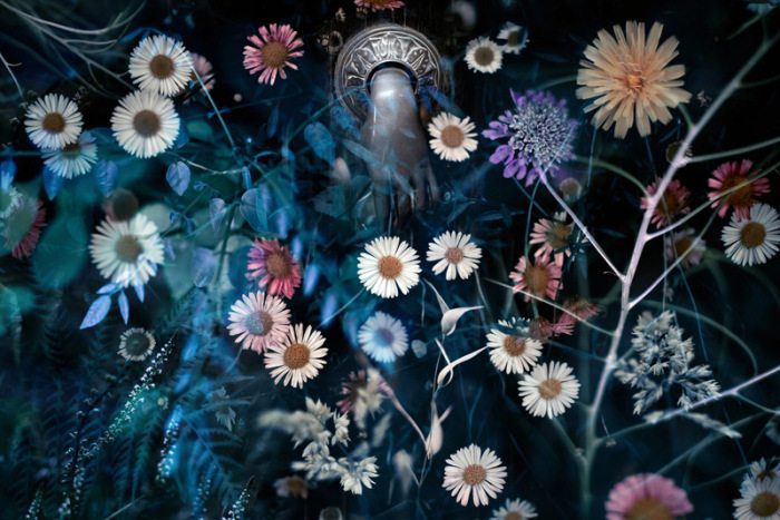 Нереальные миры в макрофото. Часть 1.