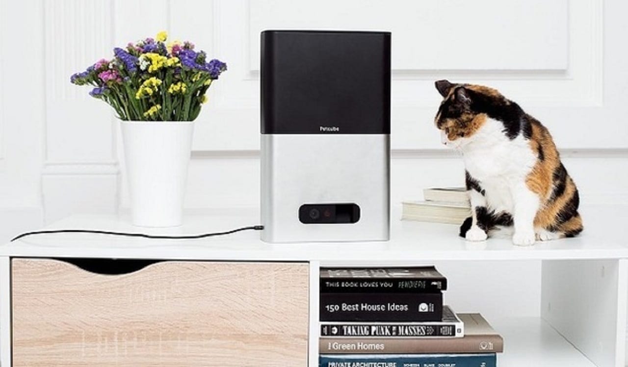 Украинский Petcube награжден за продуктовый дизайн