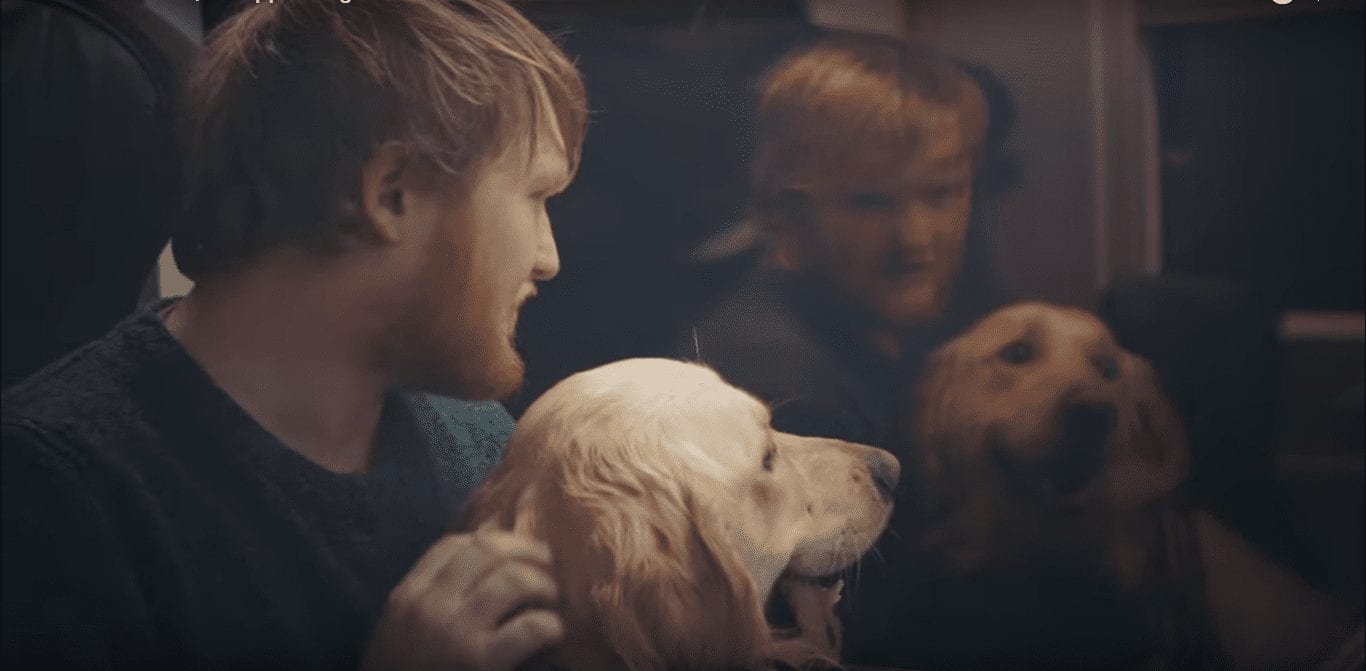 Как учуять правильный гамбургер