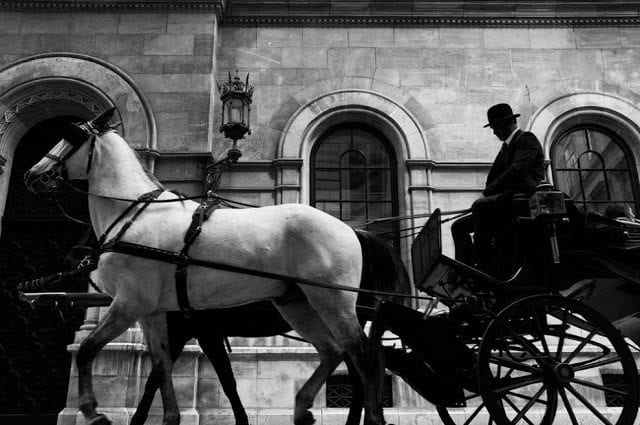 Лицо Вены в её жителях. Часть 1.