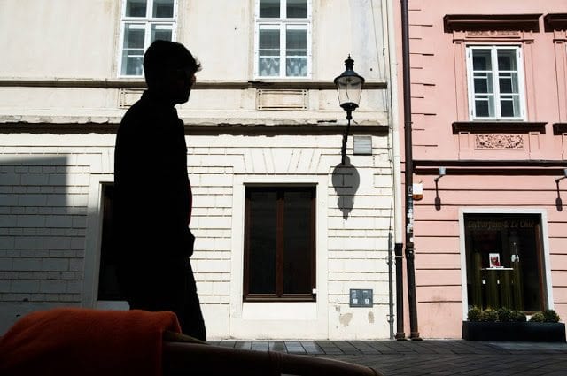 Лицо Вены в её жителях. Часть 2.