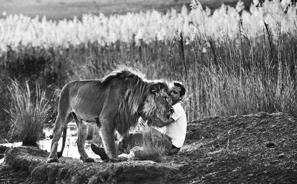 Селфи в глазах белого медведя. Часть 1.
