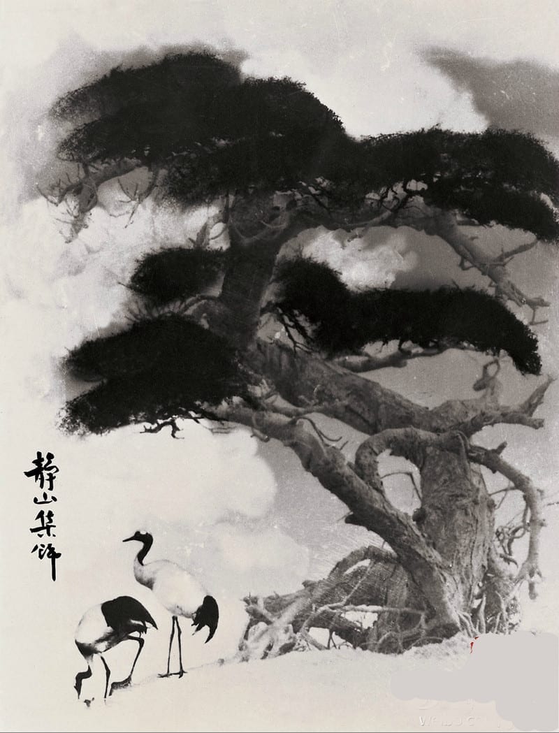 Лонг Чинсан – первый фотошопер в истории. Часть 1.