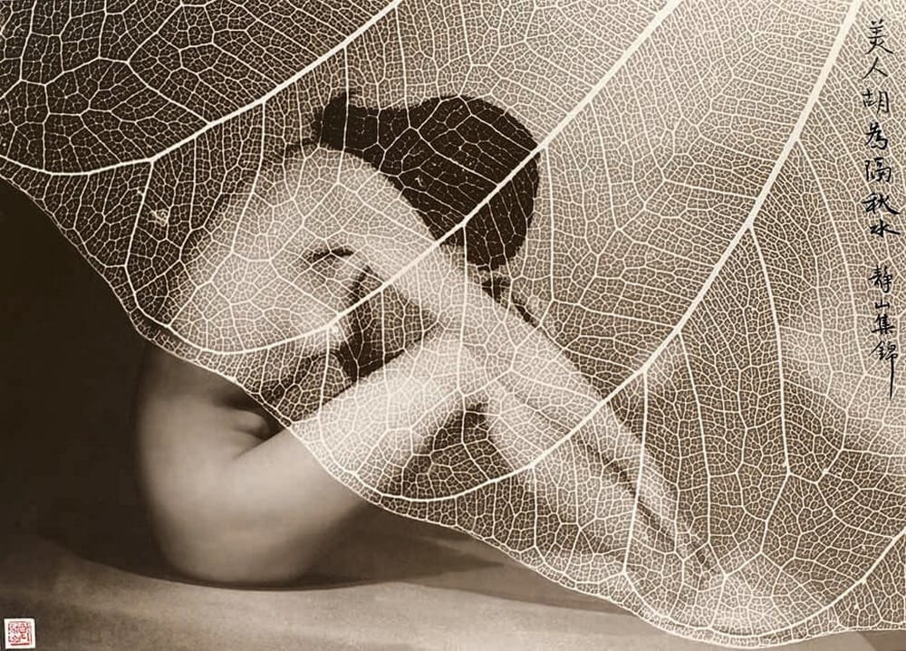 Лонг Чинсан – первый фотошопер в истории. Часть 3.