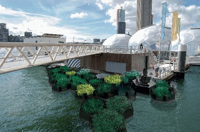 Полезный мусор: в Роттердаме создали парк из переработанного пластика