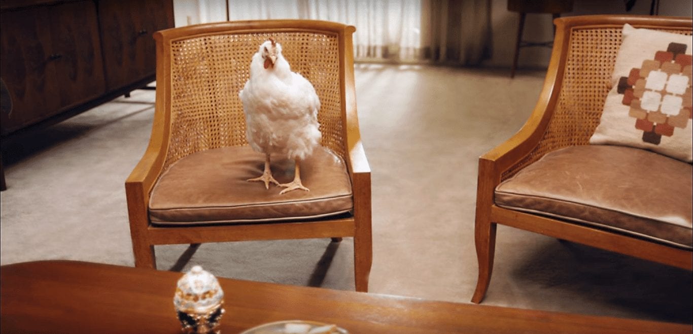 Sanderson Farms выпустил на экран здравомыслящего цыпленка