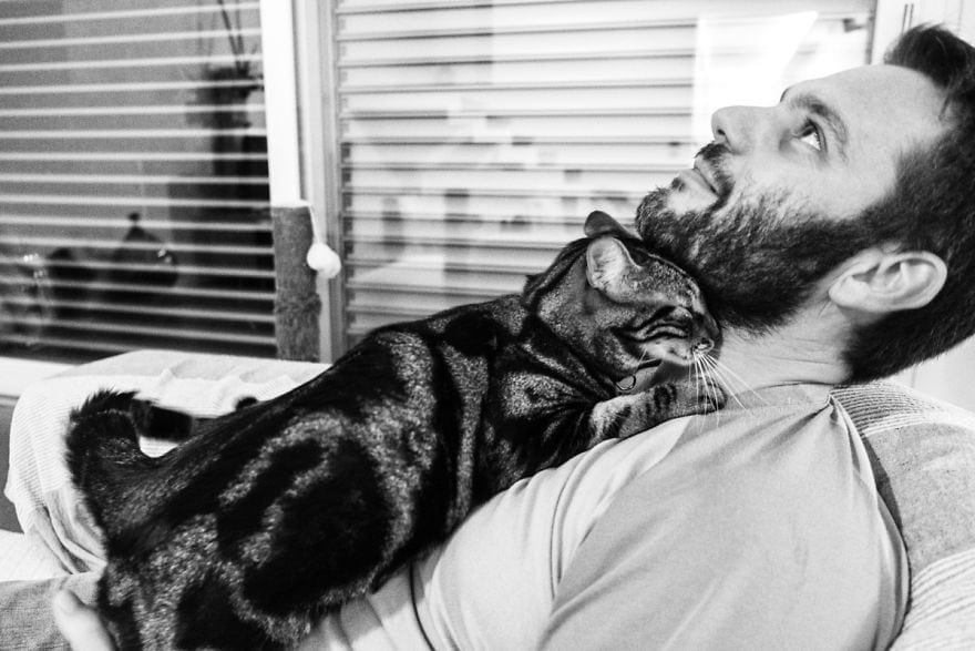 Мужчины и их кошки в фотографиях Сабрины Боем
