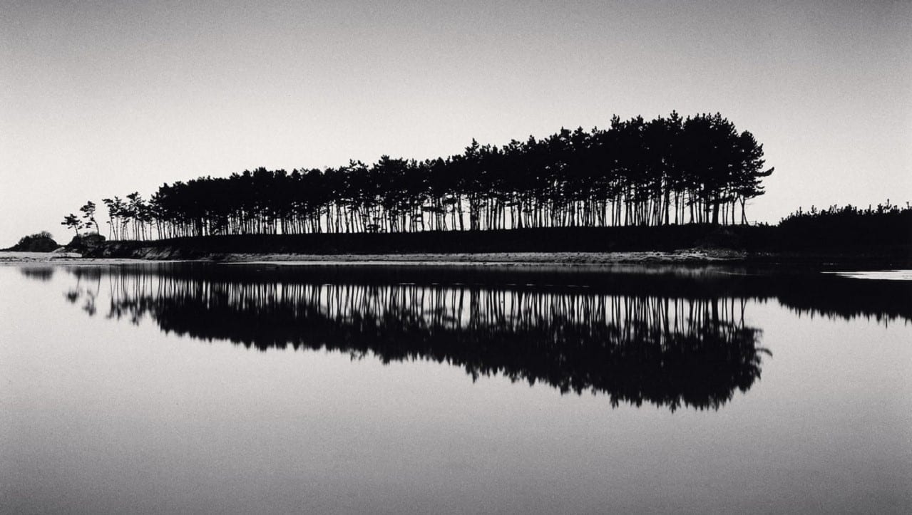 Таинственные деревья Майкла Кенны