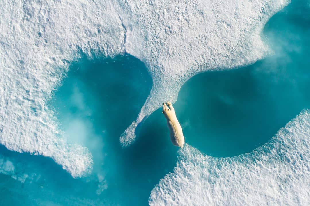 Drone Awards 2018: лучшие фотографии, сделанные с дрона