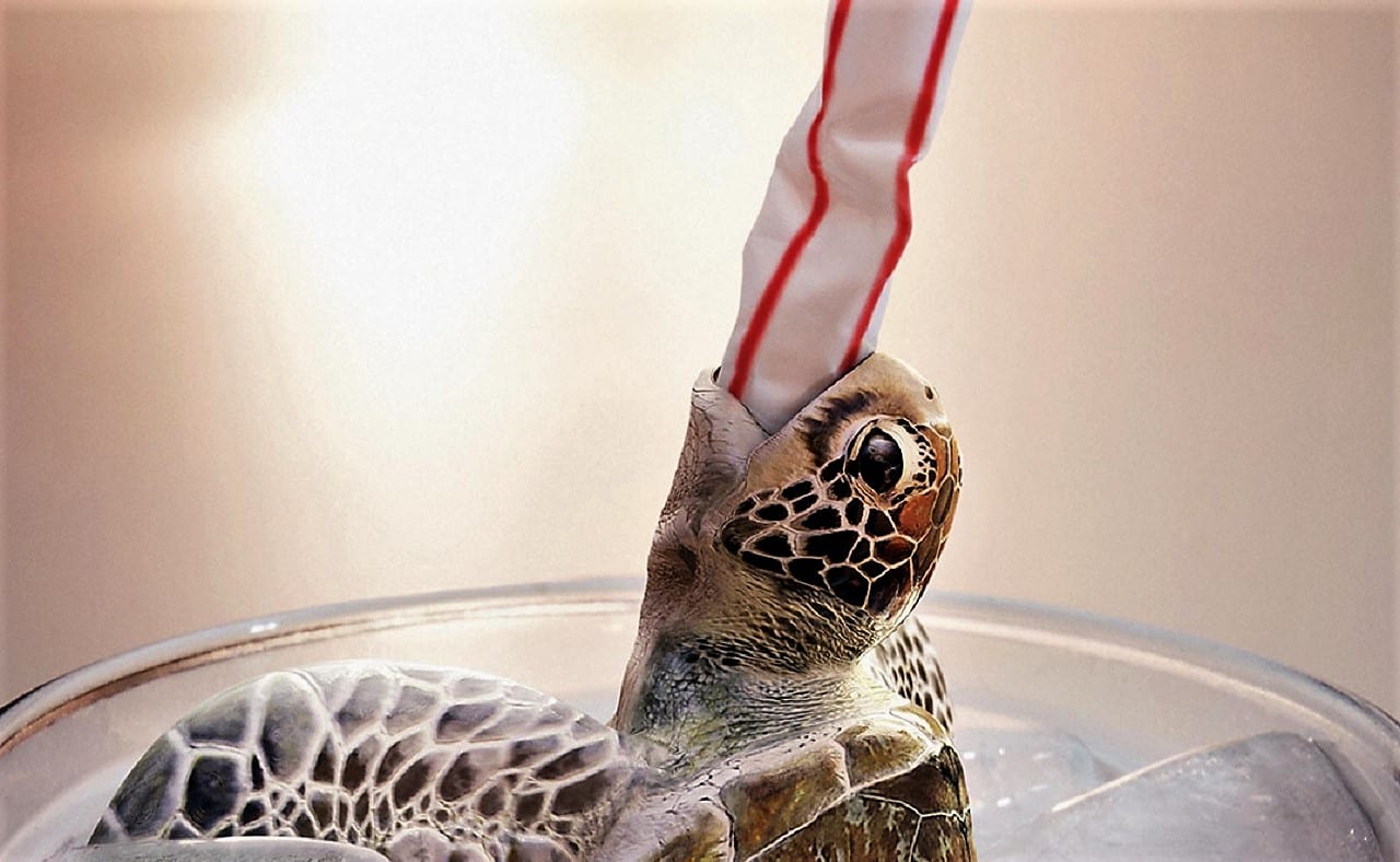 Greenpeace призывает не высасывать жизнь через трубочку