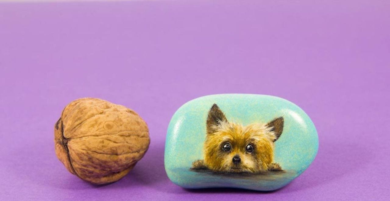 Удивительные рисунки на камнях от киевской художницы