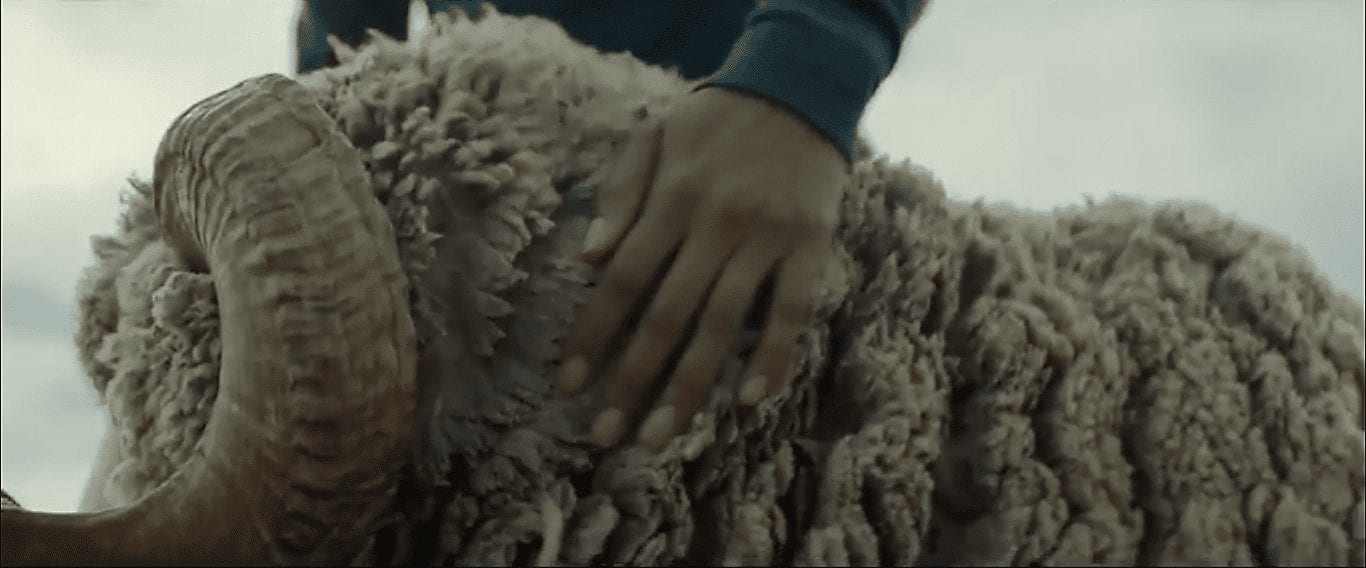 Живи и дыши! Щемящая кампания от Woolmark