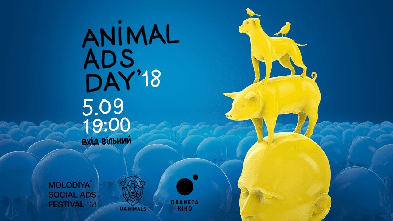 У Києві покажуть світову соцрекламу про тварин