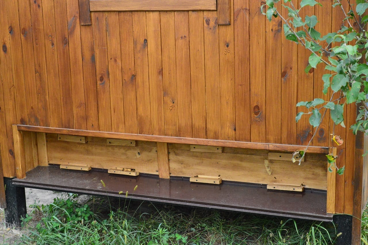 Сон в пчелином гнезде: в  Publicity Creating появился апи-домик для сотрудников