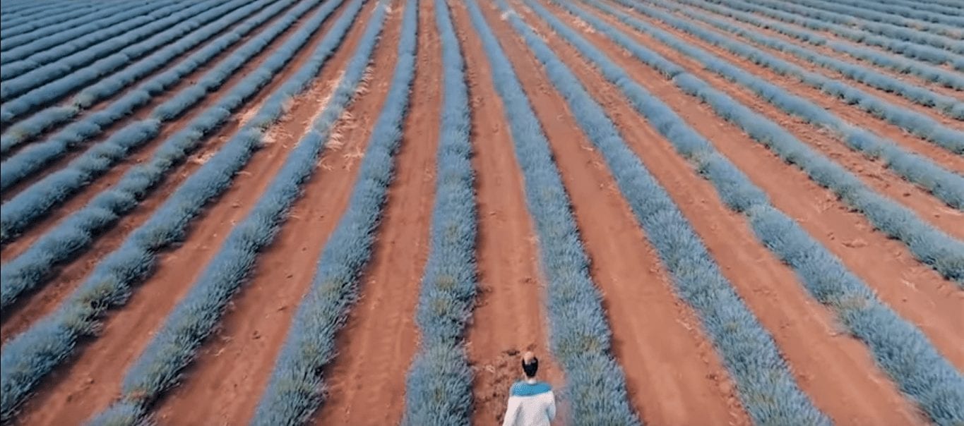 Переоткрой Австралию. Новая рекламная кампания страны