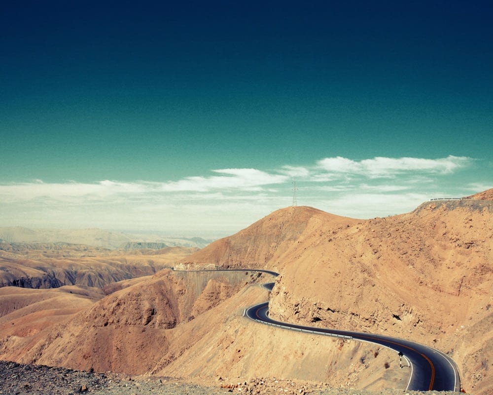 Нежность природы в деталях. Работы Нади Аттура