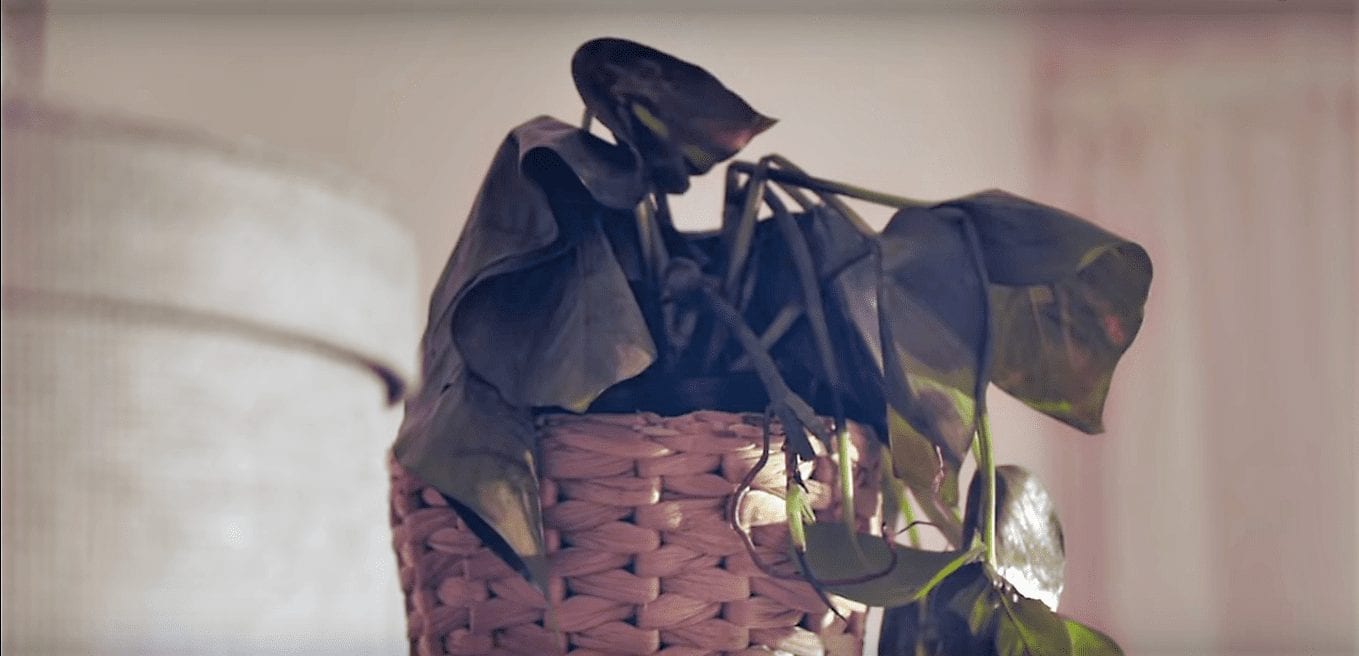 IKEA в Индии запустила рекламу «Болтающие товары»