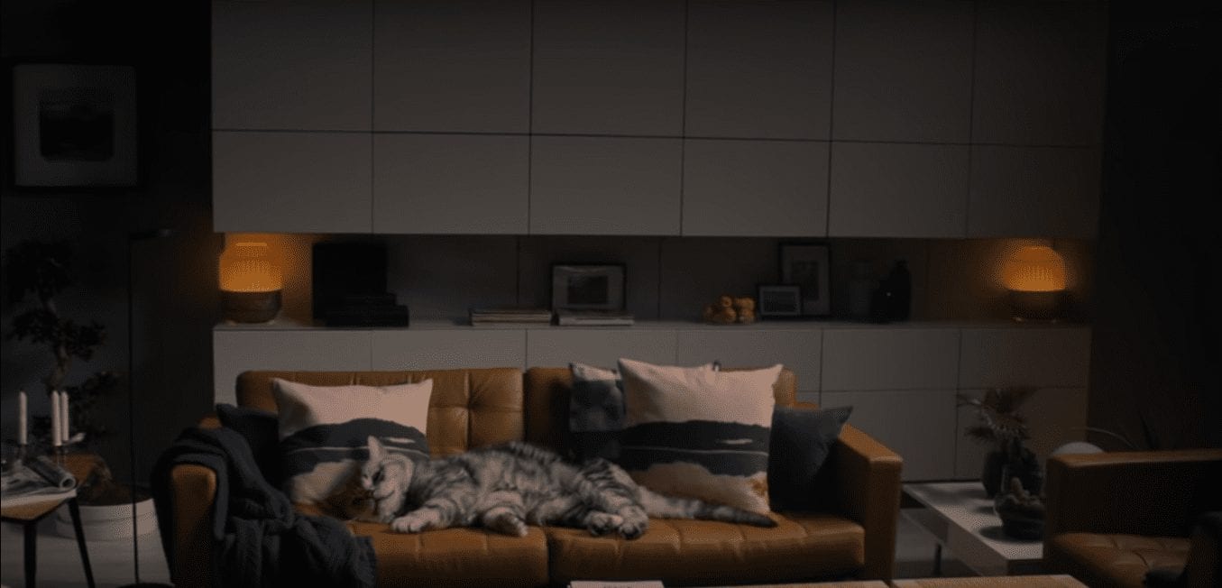 Ikea превращает своих клиентов в котиков