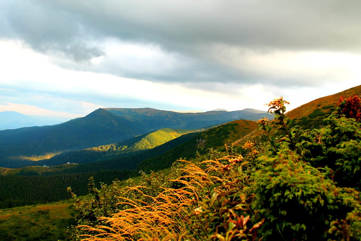 Європейські експерти з дизайну вирушать в дизайн-експедицію Прикарпаттям