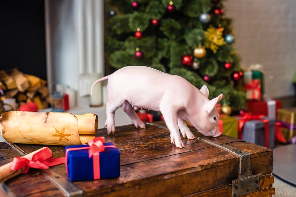 С Новым Годом! Поздравление Reklamaster.com