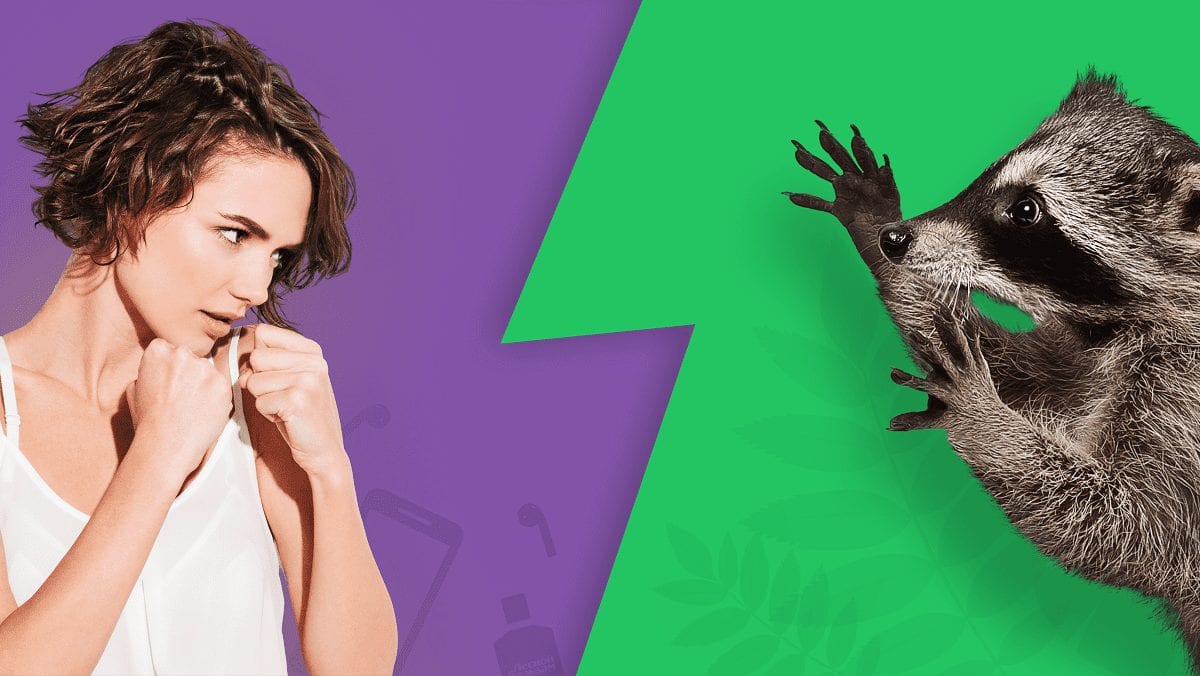 Наполоскали на iPhone: как чат-бот Енот помог бренду отвоевать аудиторию конкурентов