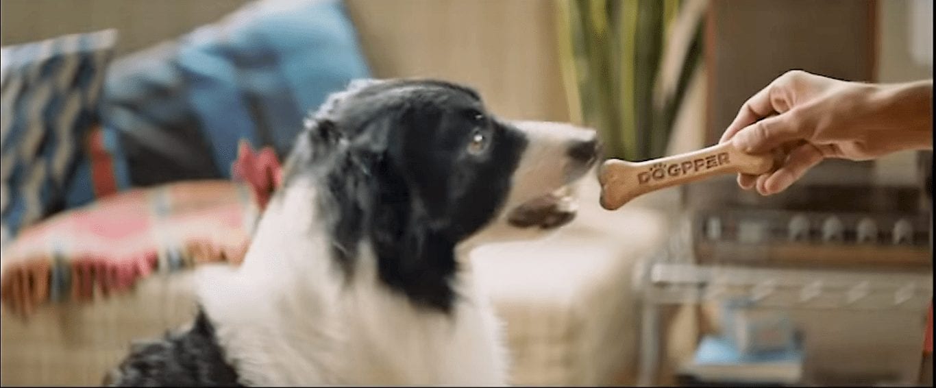 Burger King создал «воппер» для собак