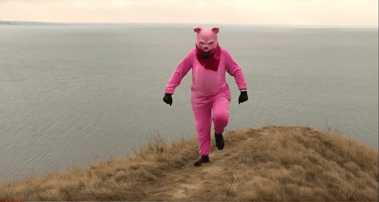 Директор Одесского зоопарка снял новогодний ролик в костюме свиньи