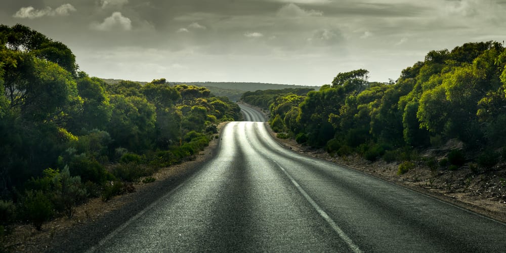 «Великий южный ковчег» – проект восстановления дикой природы Австралии