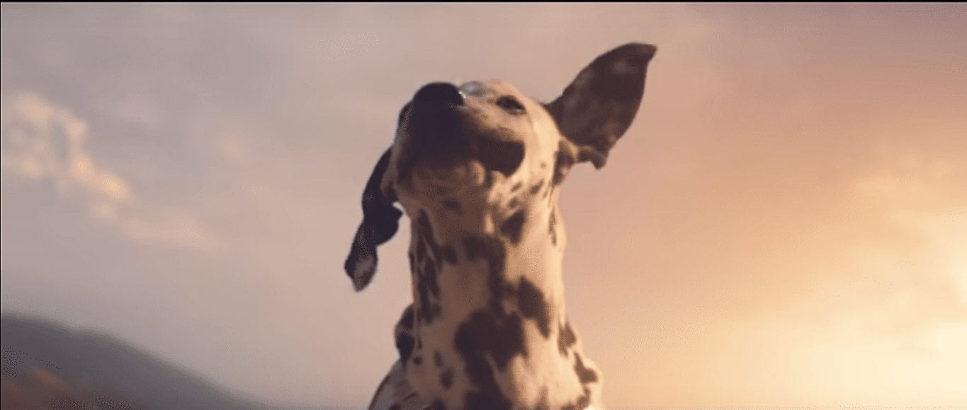 И пусть дует ветер! Budweiser дарит городу Атланте неделю бесплатного электричества