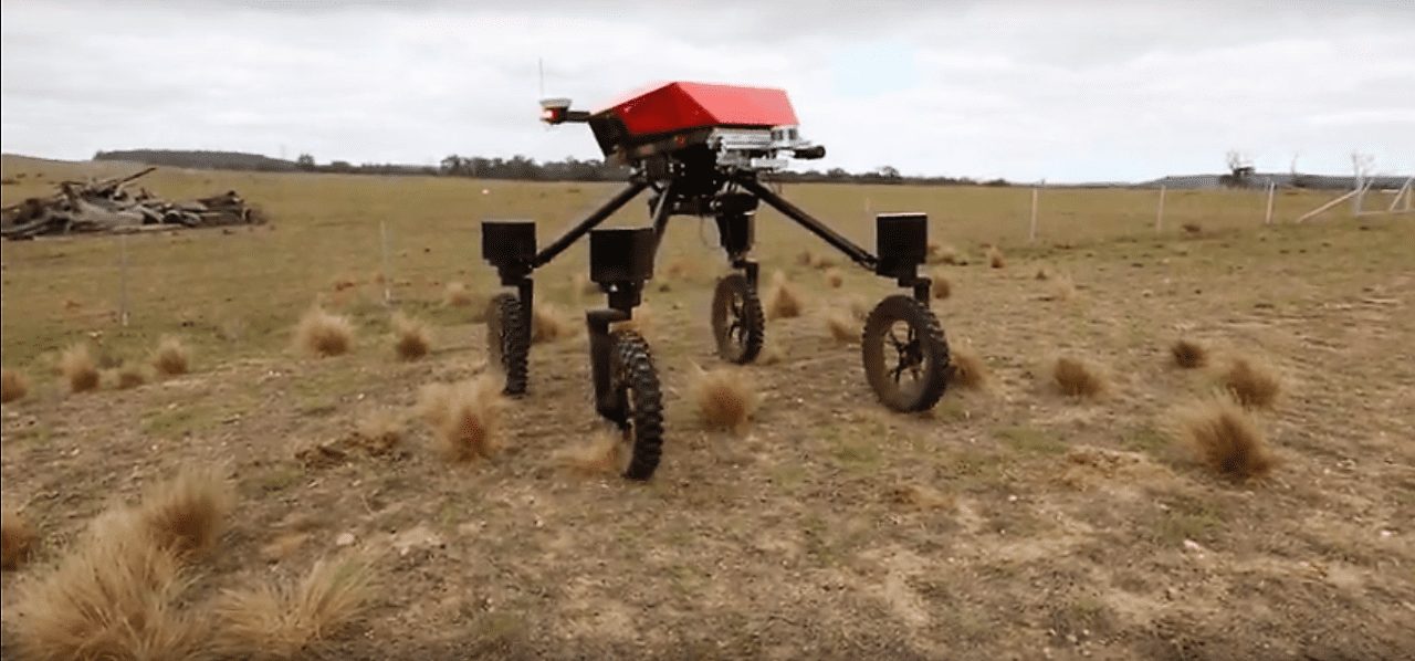 Робота научили самостоятельно находить сорняки и поливать их гербицидами