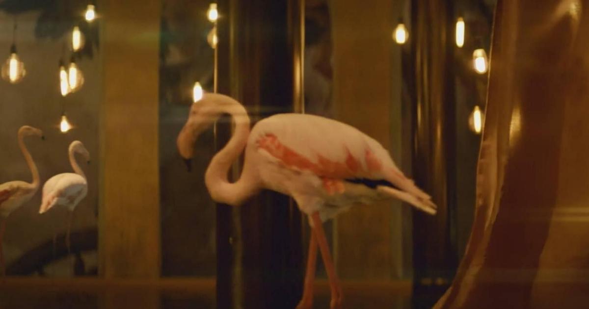 BART&FINK створило для Roshen іронічну рекламу чорного шоколаду