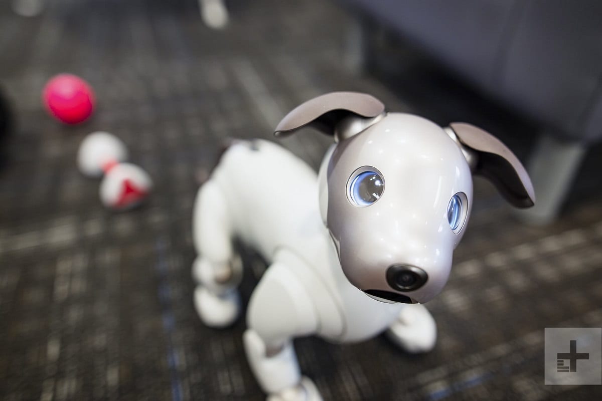 Собака-робот Sony Aibo теперь может патрулировать дом и находить в нем нужных людей