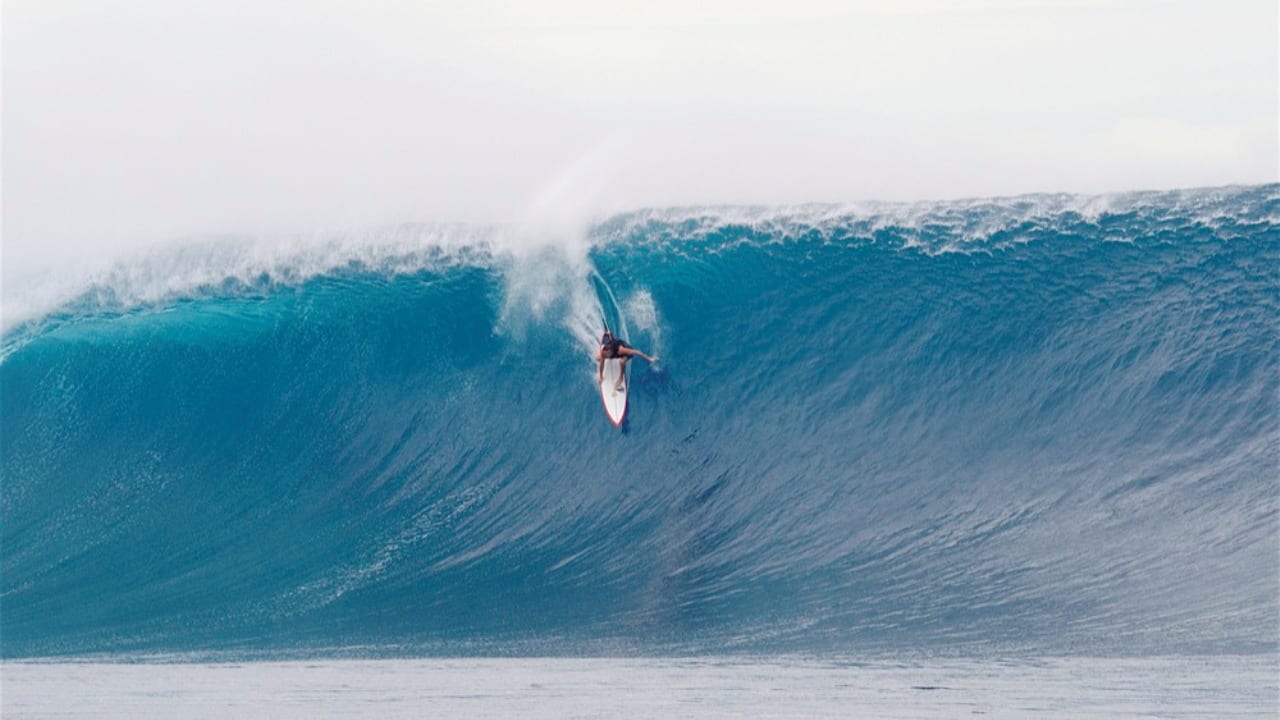 Охотники за волнами: объявлены финалисты конкурса Nikon Surf Photo of the Year Award 2019