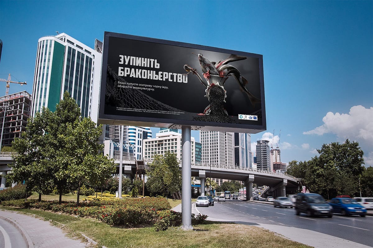 Осетри теж мають право!