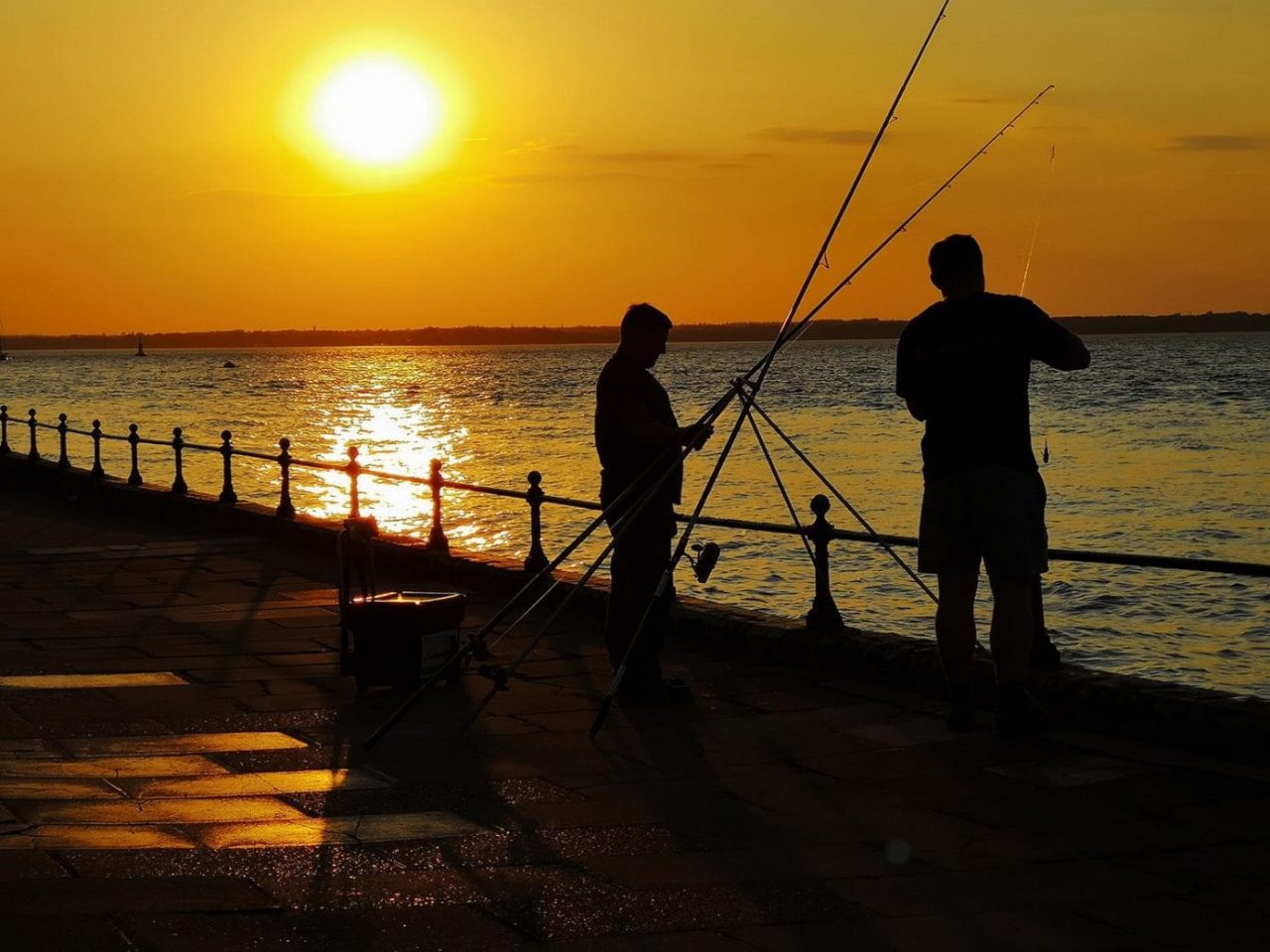 Приложение Fishbrain подскажет рыбакам, где клев лучше